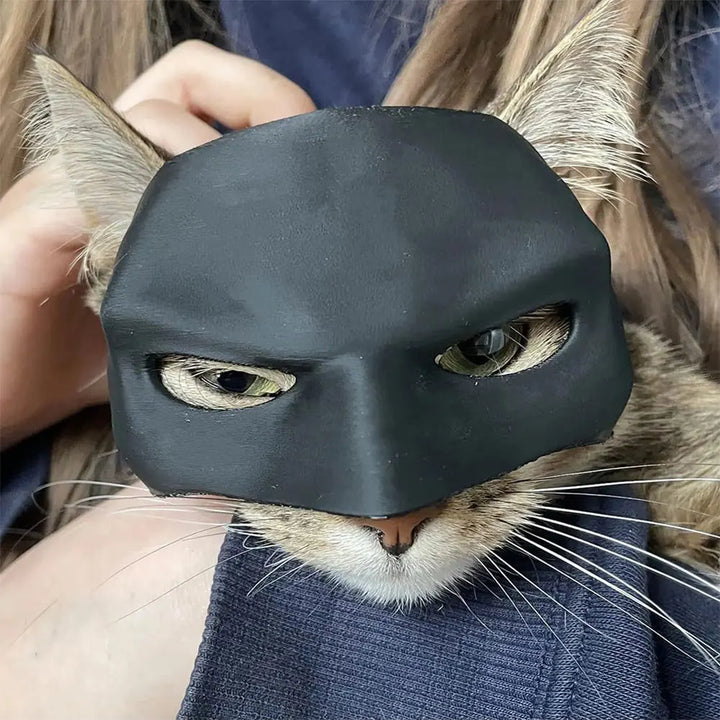 Bat Cat Mask: Sculpted Halloween Superhero Costume