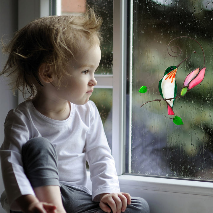Bird Wall Sticker for Colorful Window & Wall Decor