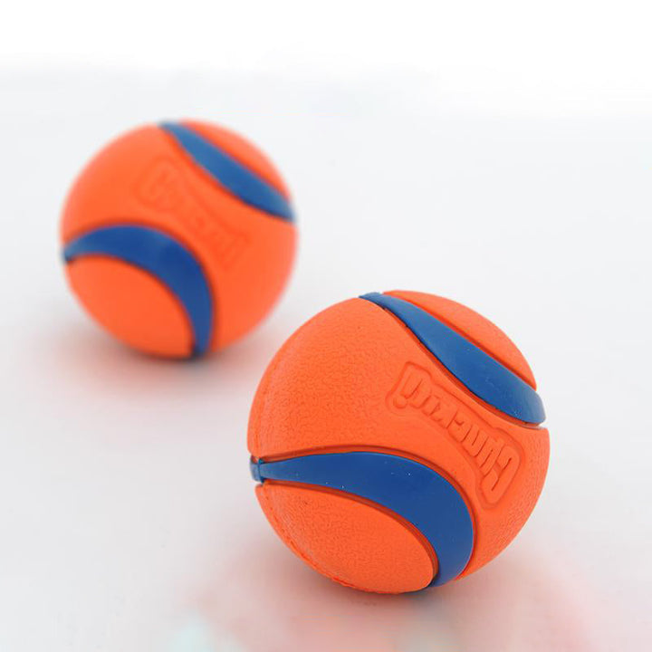 Chuckit Fetch Ball for High-Visibility Dog Play
