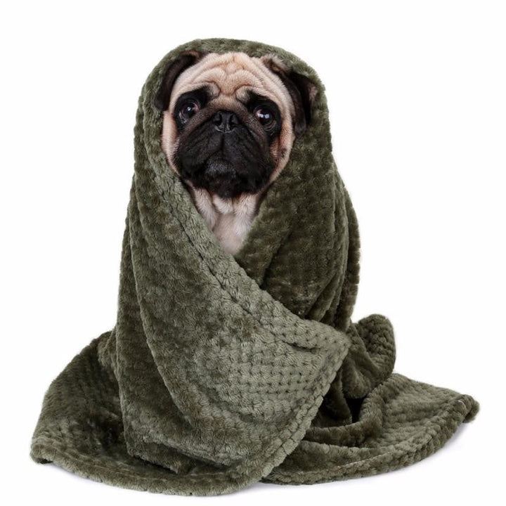 Warm Plush Dog Blanket for Naps, Sofa and Car Rides