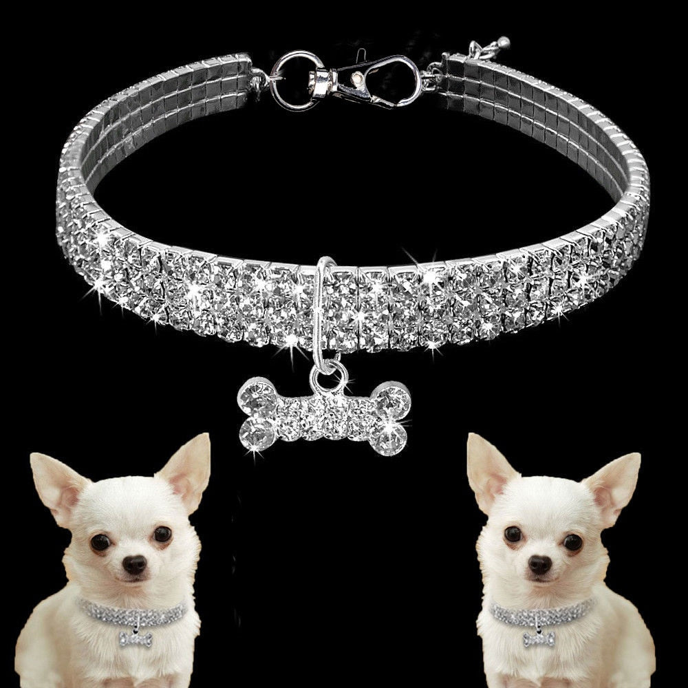 Rhinestone Pet Collar with Bone Charm for Small Pets