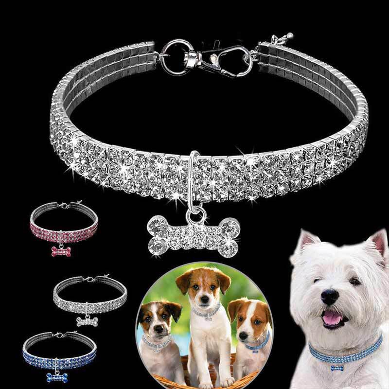 Rhinestone Pet Collar with Bone Charm for Small Pets