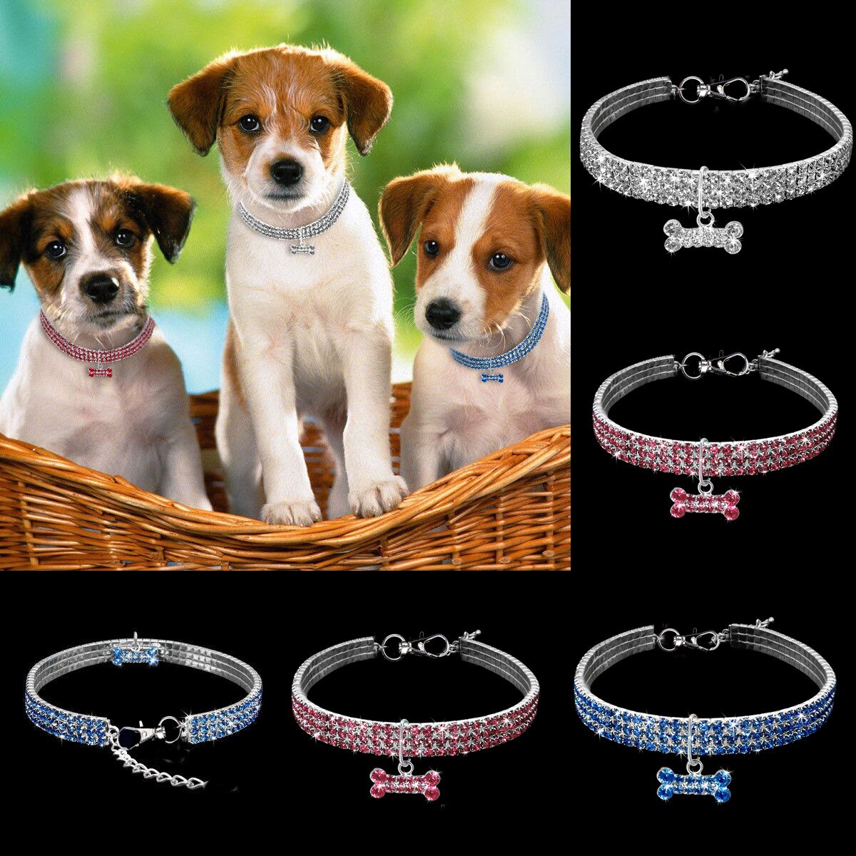 Rhinestone Pet Collar with Bone Charm for Small Pets
