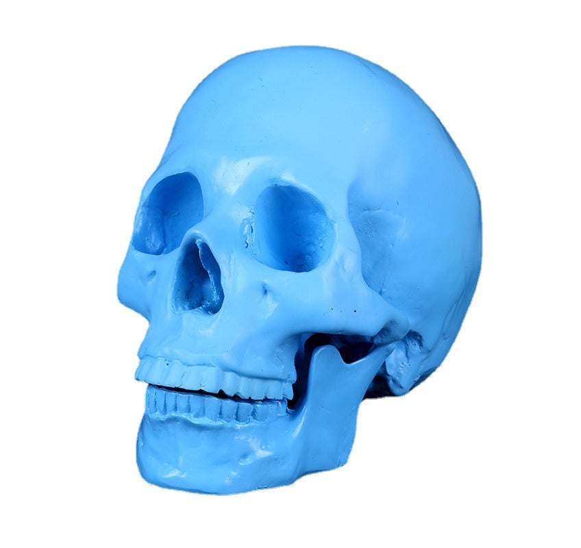 Blue Anatomical Skull Sculpture for Distinctive Decor