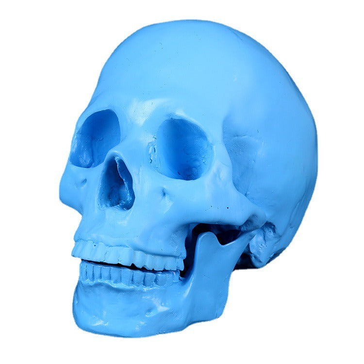 Blue Anatomical Skull Sculpture for Distinctive Decor