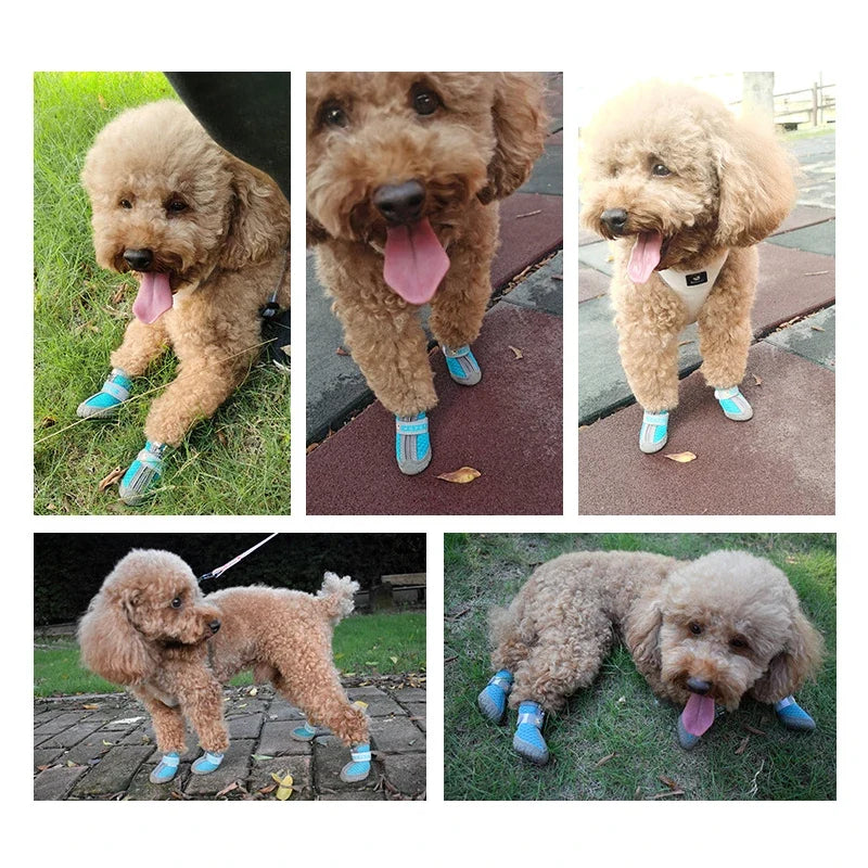 Small Dog Shoes With Breathable Anti-Slip Protection