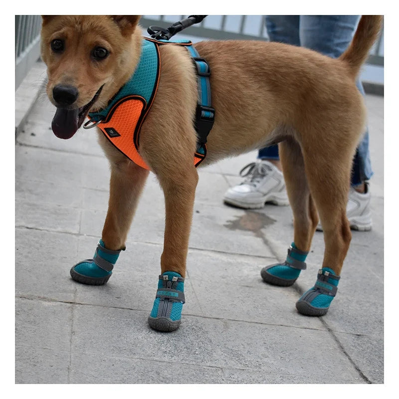 Small Dog Shoes With Breathable Anti-Slip Protection