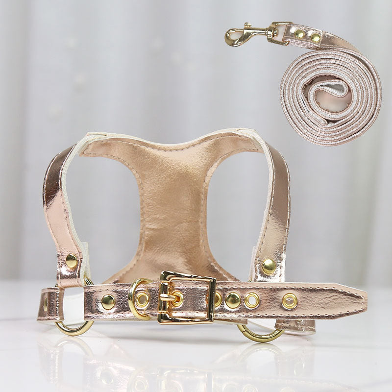 Small Dog Harness and Leash Set for Stylish Walks