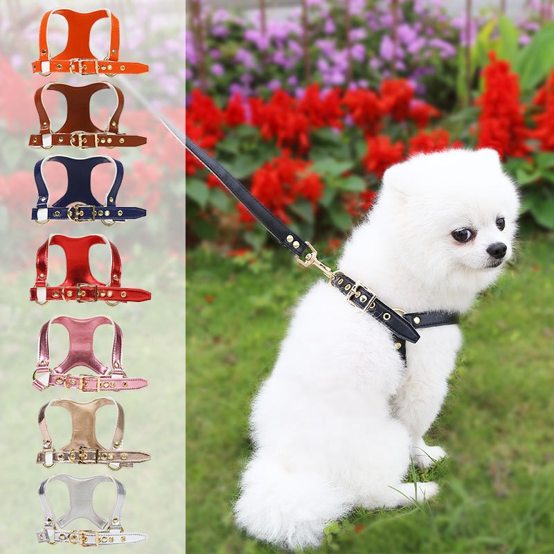 Small Dog Harness and Leash Set for Stylish Walks