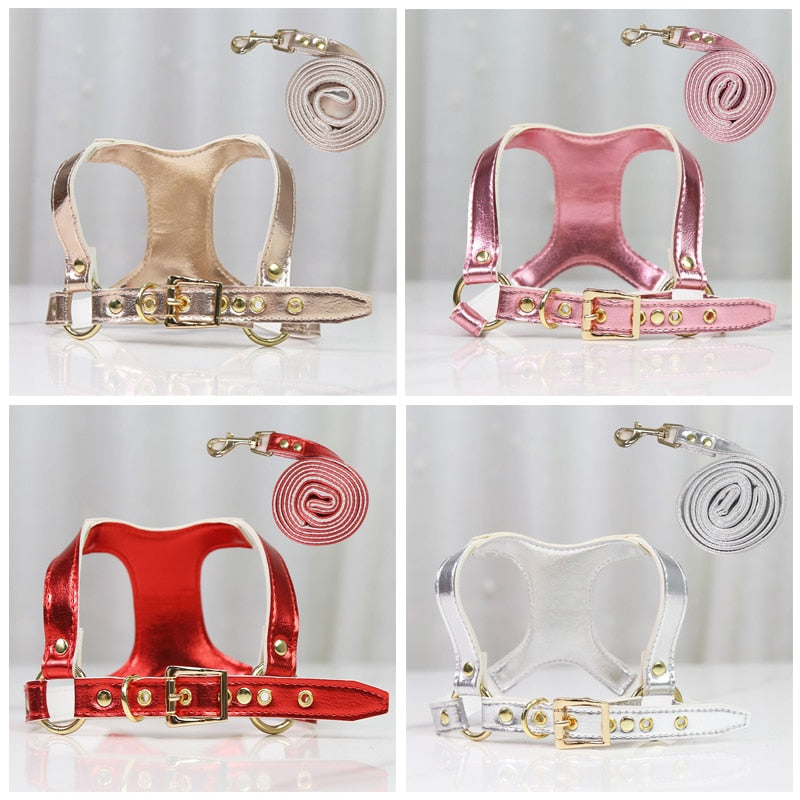 Small Dog Harness and Leash Set for Stylish Walks