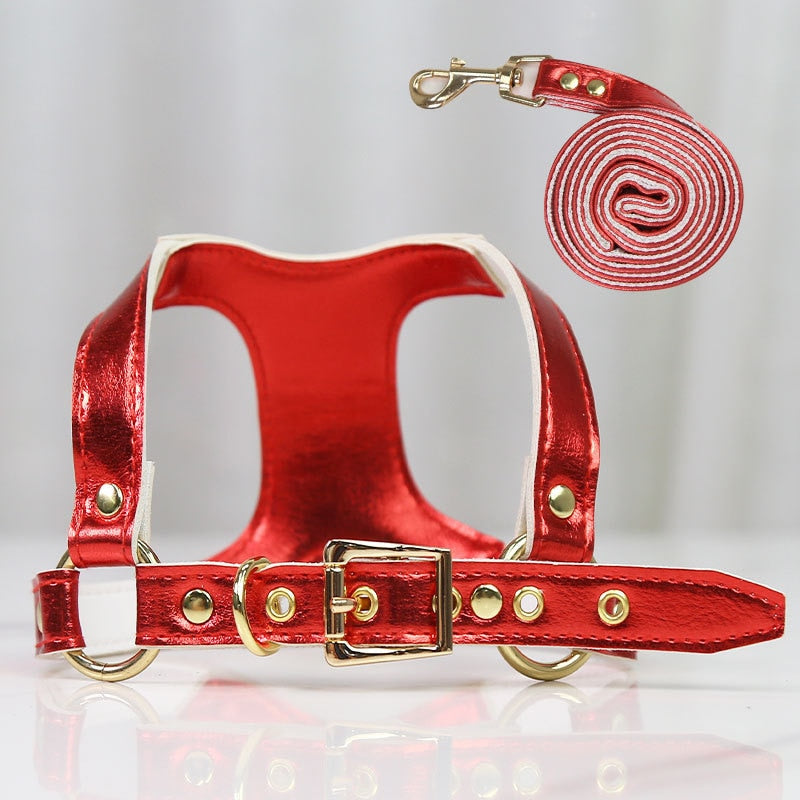 Small Dog Harness and Leash Set for Stylish Walks