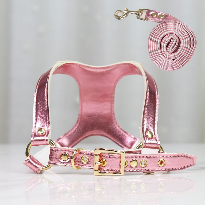 Small Dog Harness and Leash Set for Stylish Walks