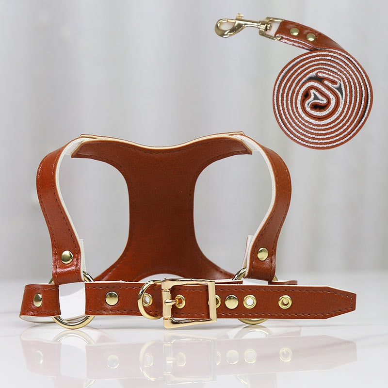 Small Dog Harness and Leash Set for Stylish Walks