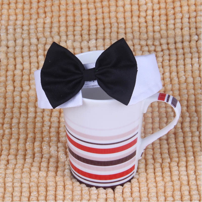 Butterfly Bow Tie Pet Collar for Polished Photo Style