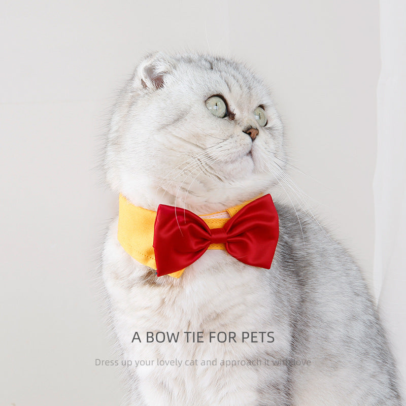 Butterfly Bow Tie Pet Collar for Polished Photo Style