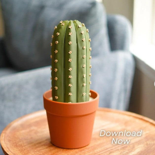 Cactus Chess Set – Roll-Up Board for Whimsical Games