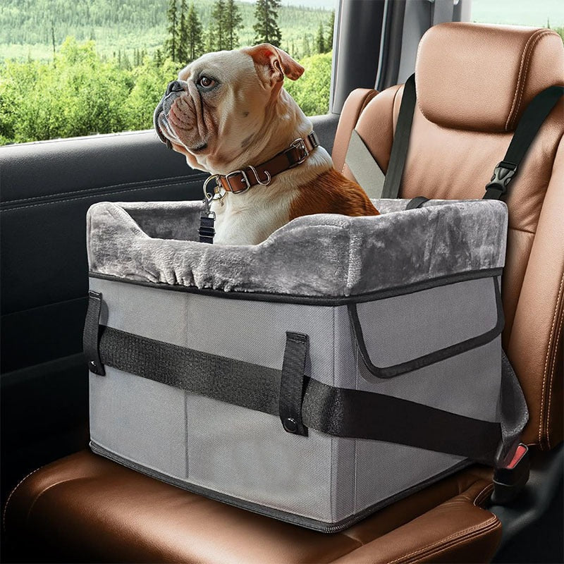 Elevated Dog Car Seat for Safer, Cleaner Small-Dog Rides