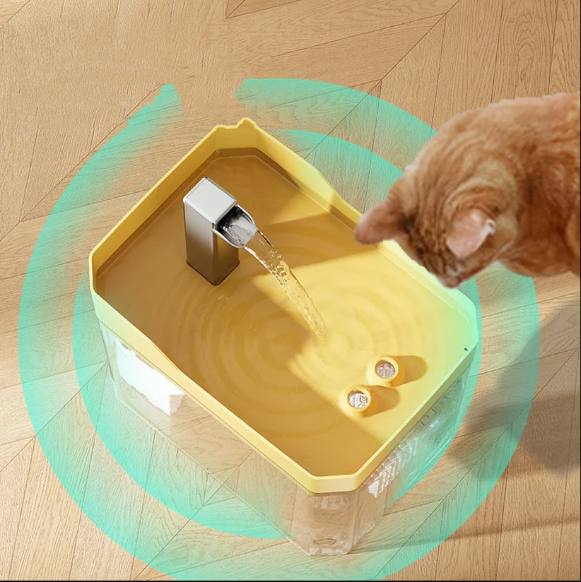 Automatic Pet Water Fountain | Quiet Circulating Hydration