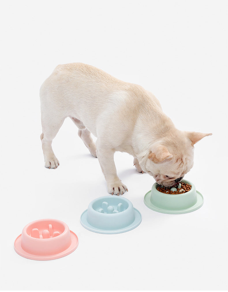 Slow Feeder Pet Bowl for Cats & Dogs, Stable Base