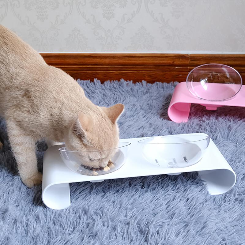 Elevated Cat Bowls for Cleaner, Easier Daily Mealtimes