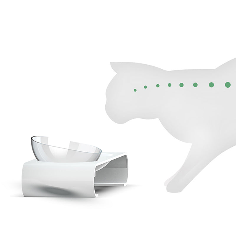 Elevated Cat Bowls for Cleaner, Easier Daily Mealtimes