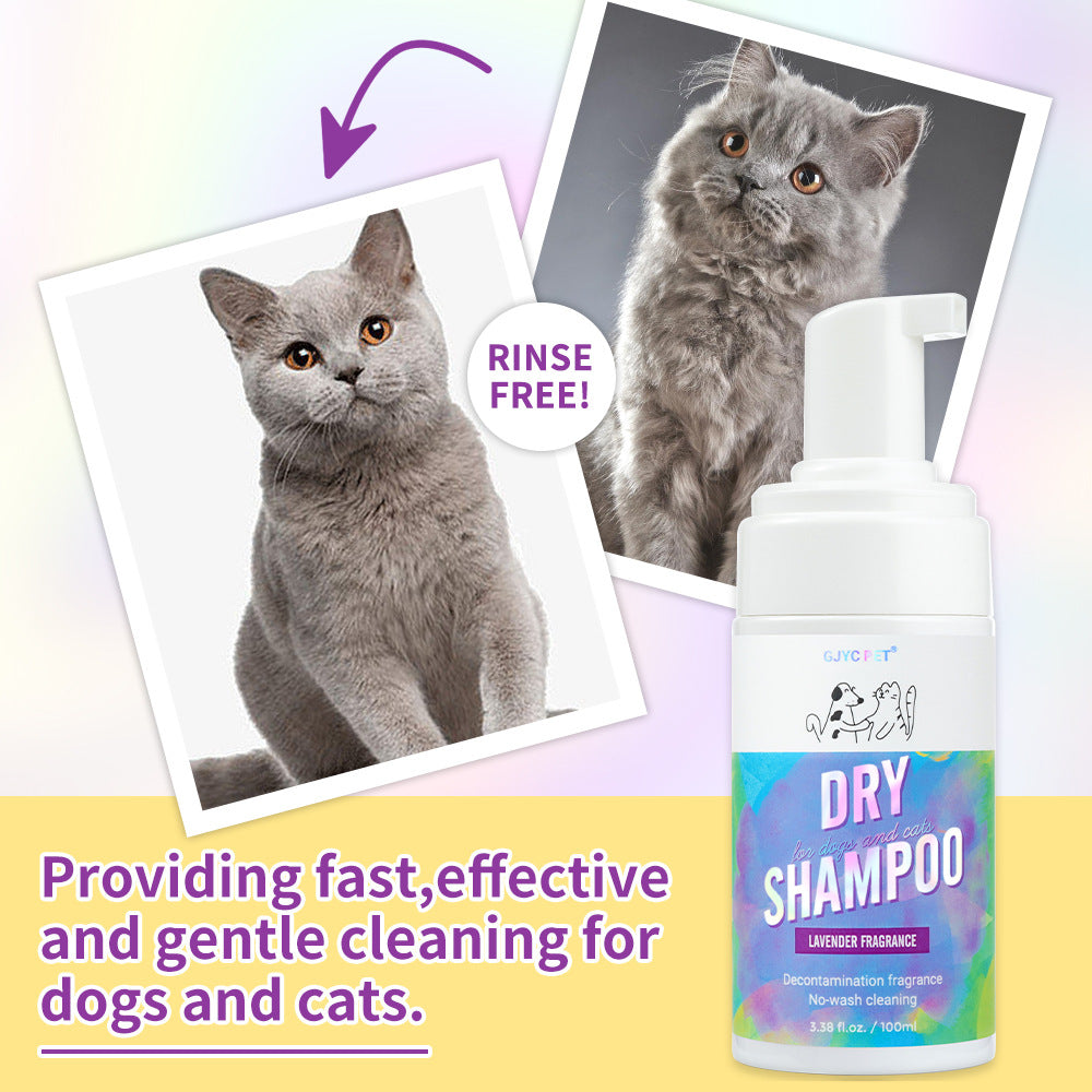Pet Dry Shampoo Foam for No-Rinse Coat Freshening