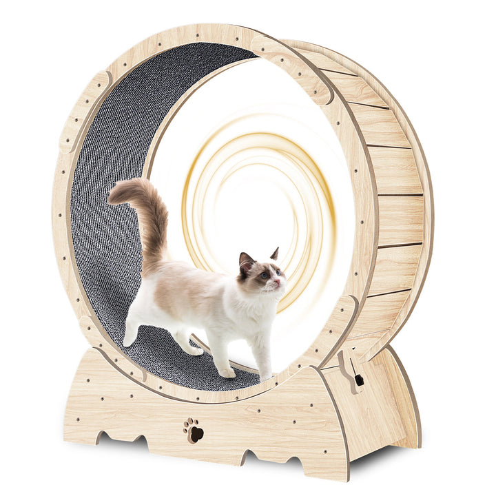 Cat Exercise Wheel for Safer Indoor Enrichment Play