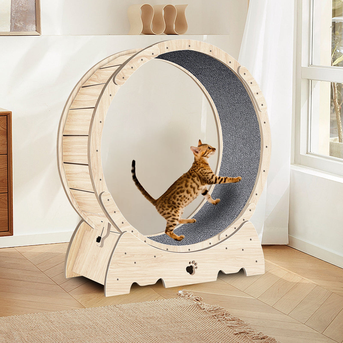 Cat Exercise Wheel for Safer Indoor Enrichment Play