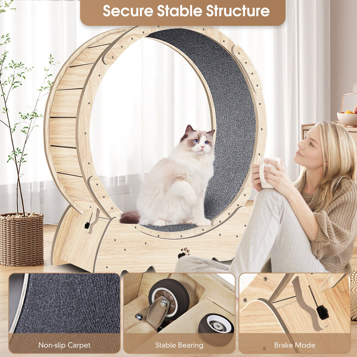 Cat Exercise Wheel for Safer Indoor Enrichment Play