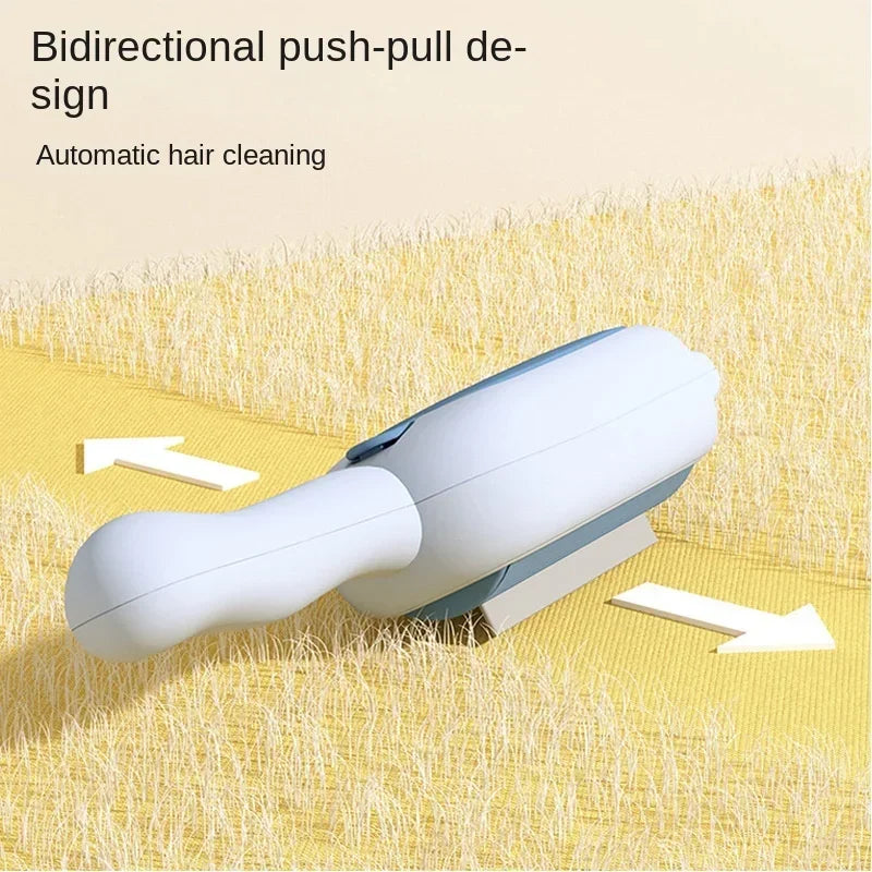 Pet Hair Remover Brush for Sofa, Carpet & Bedding