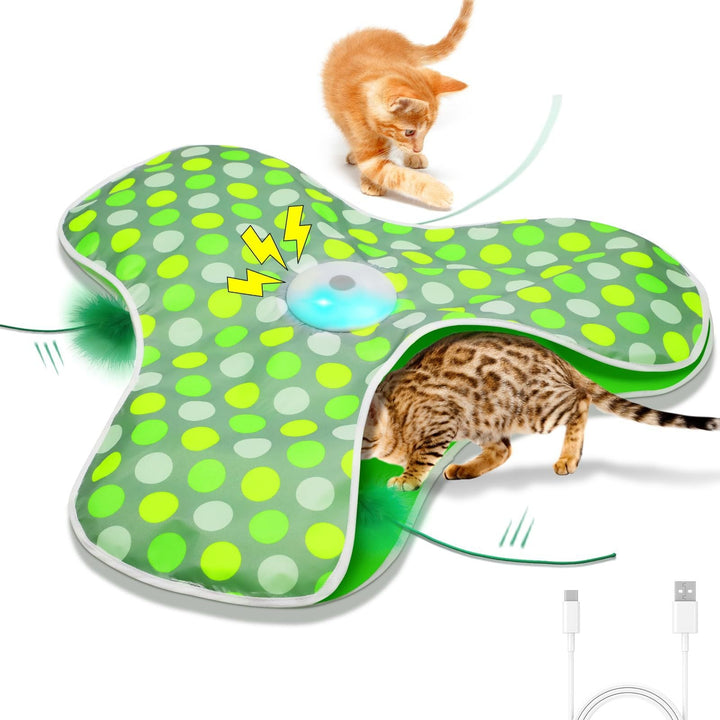 Cat Interactive Toy for Indoor Hunting Enrichment