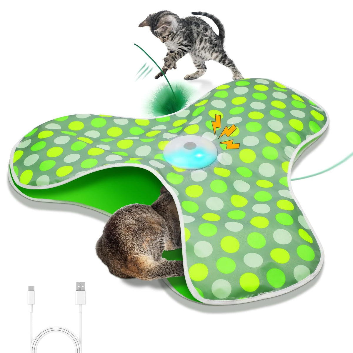 Cat Interactive Toy for Indoor Hunting Enrichment