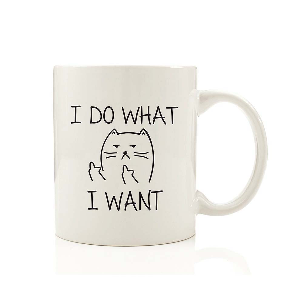 Funny Cat Coffee Mug: Sarcastic Middle Finger Gift