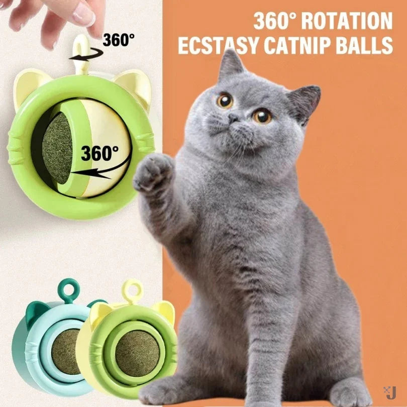 Cat Mint Ball Toy for Indoor Dental Enrichment Play