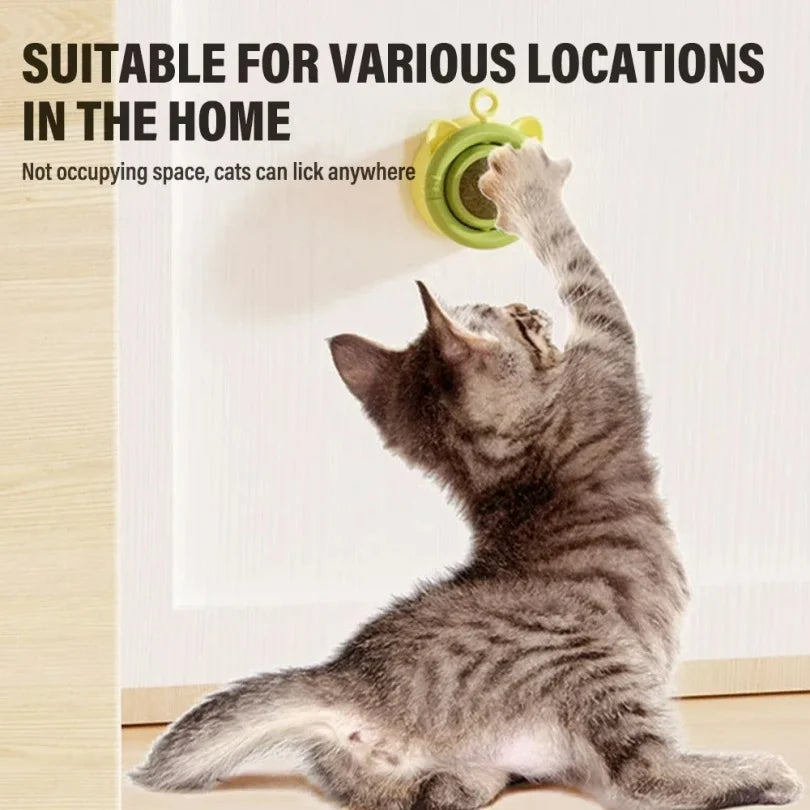Cat Mint Ball Toy for Indoor Dental Enrichment Play