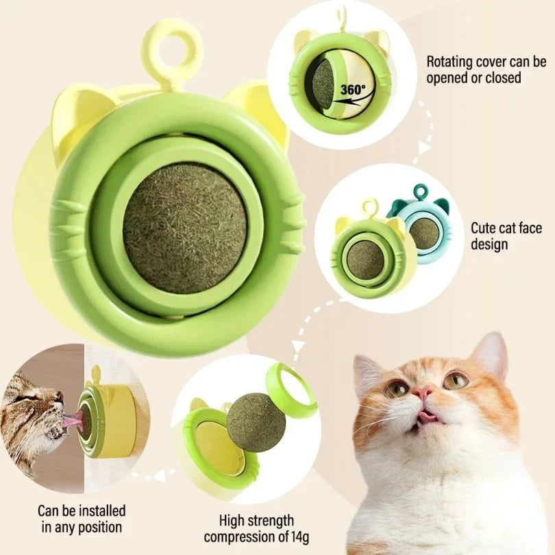 Cat Mint Ball Toy for Indoor Dental Enrichment Play