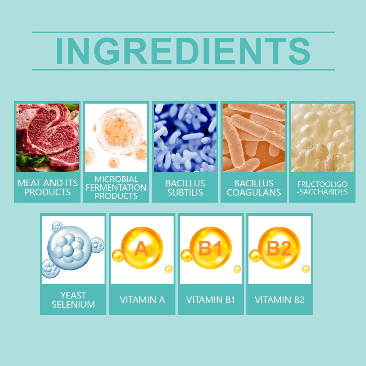 Cat Probiotic Tablets for Everyday Digestive Support