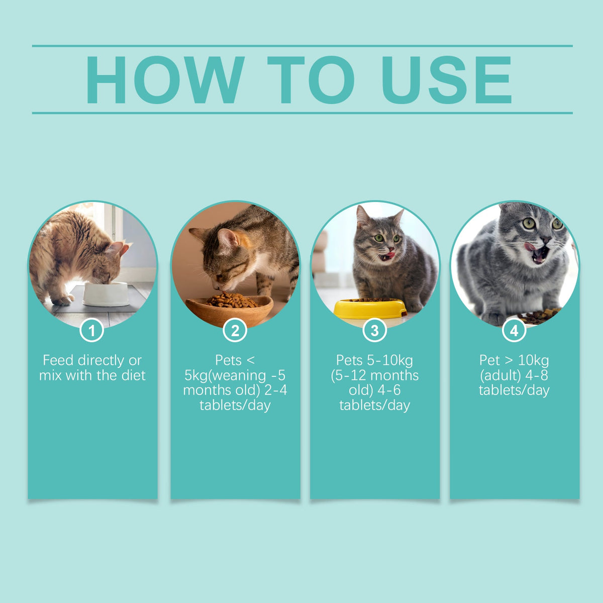 Cat Probiotic Tablets for Everyday Digestive Support