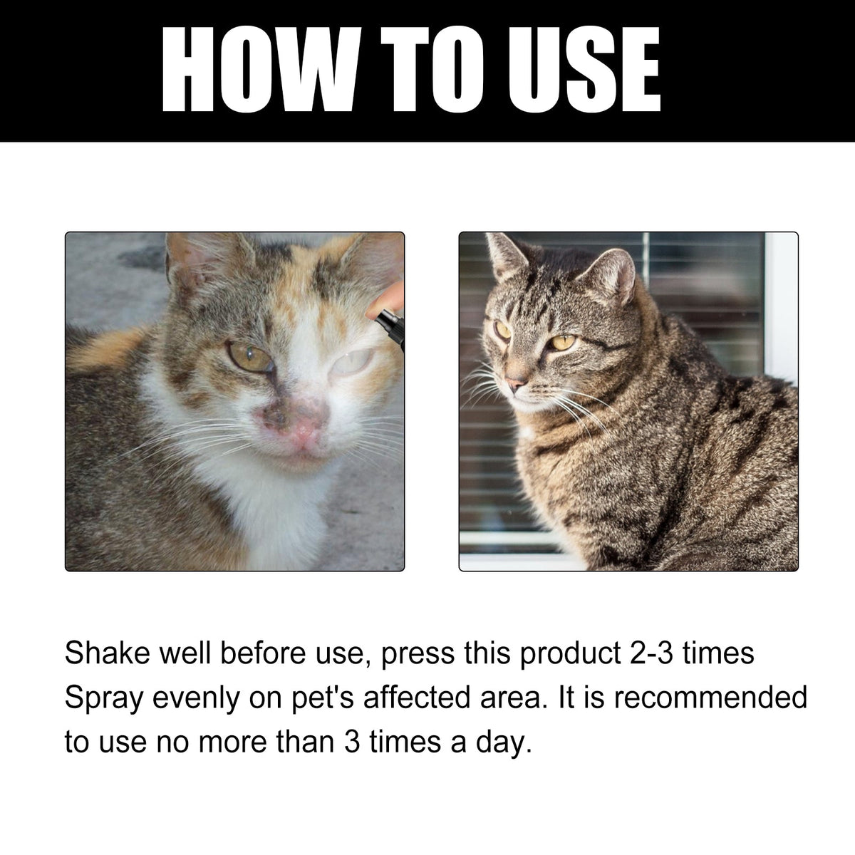 Cat Ringworm Spray for Targeted Skin Irritation Care