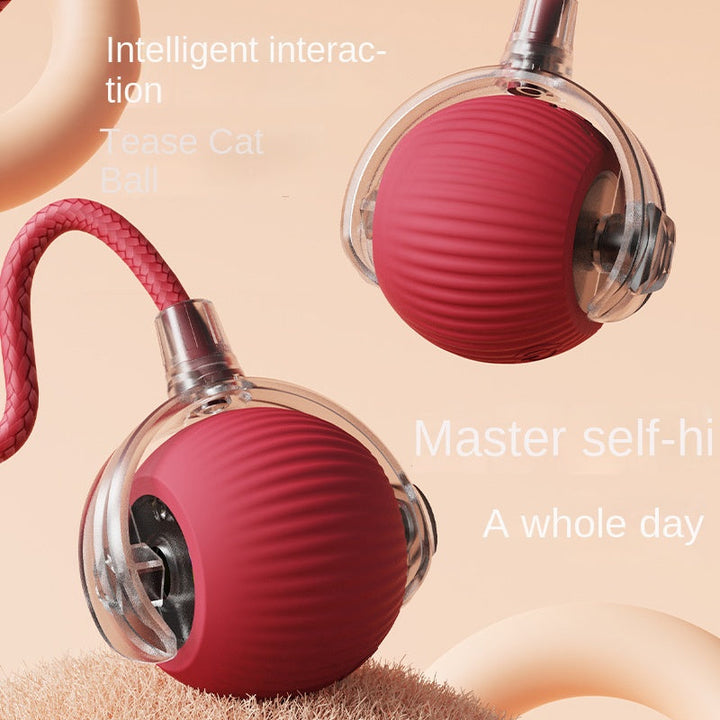 Electric Cat Ball Toy for Independent Indoor Play