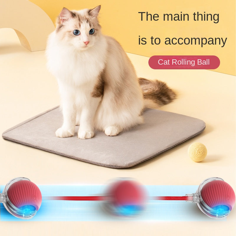Electric Cat Ball Toy for Independent Indoor Play