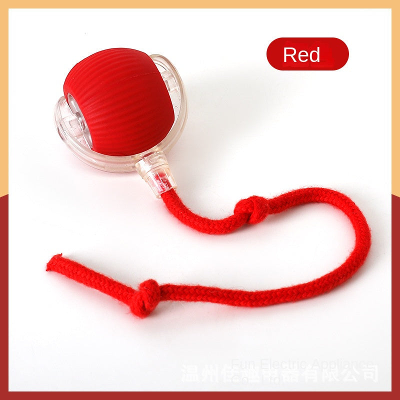 Electric Cat Ball Toy for Independent Indoor Play