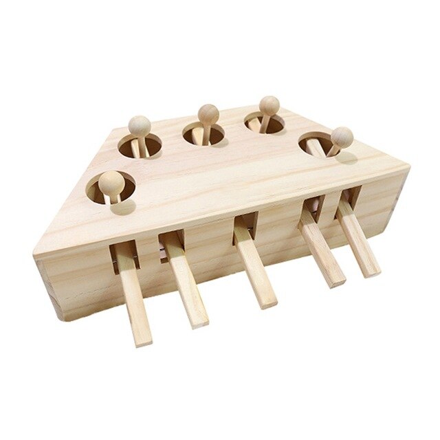 Wooden Cat Puzzle Toy for Indoor Play & Enrichment