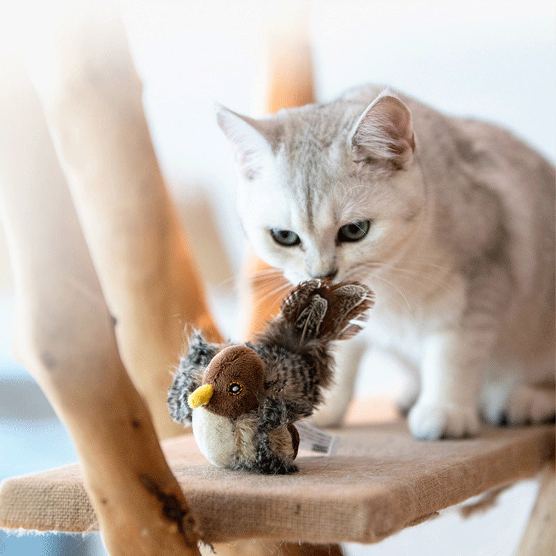 Touch-Activated Bird Cat Toy for Indoor Enrichment