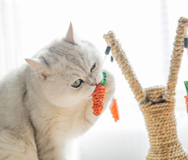 Cat Tree Tower for Scratching, Climbing & Indoor Play