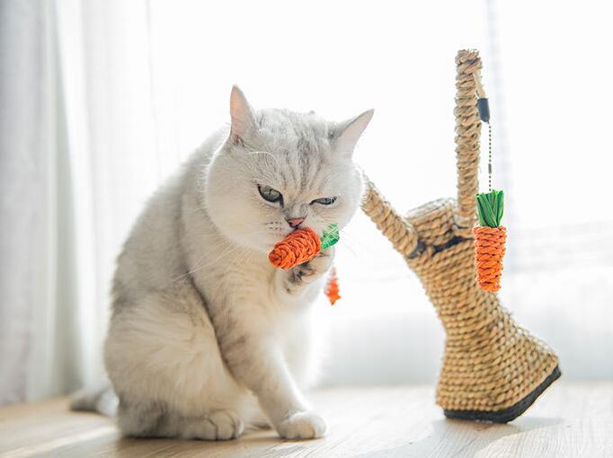 Cat Tree Tower for Scratching, Climbing & Indoor Play