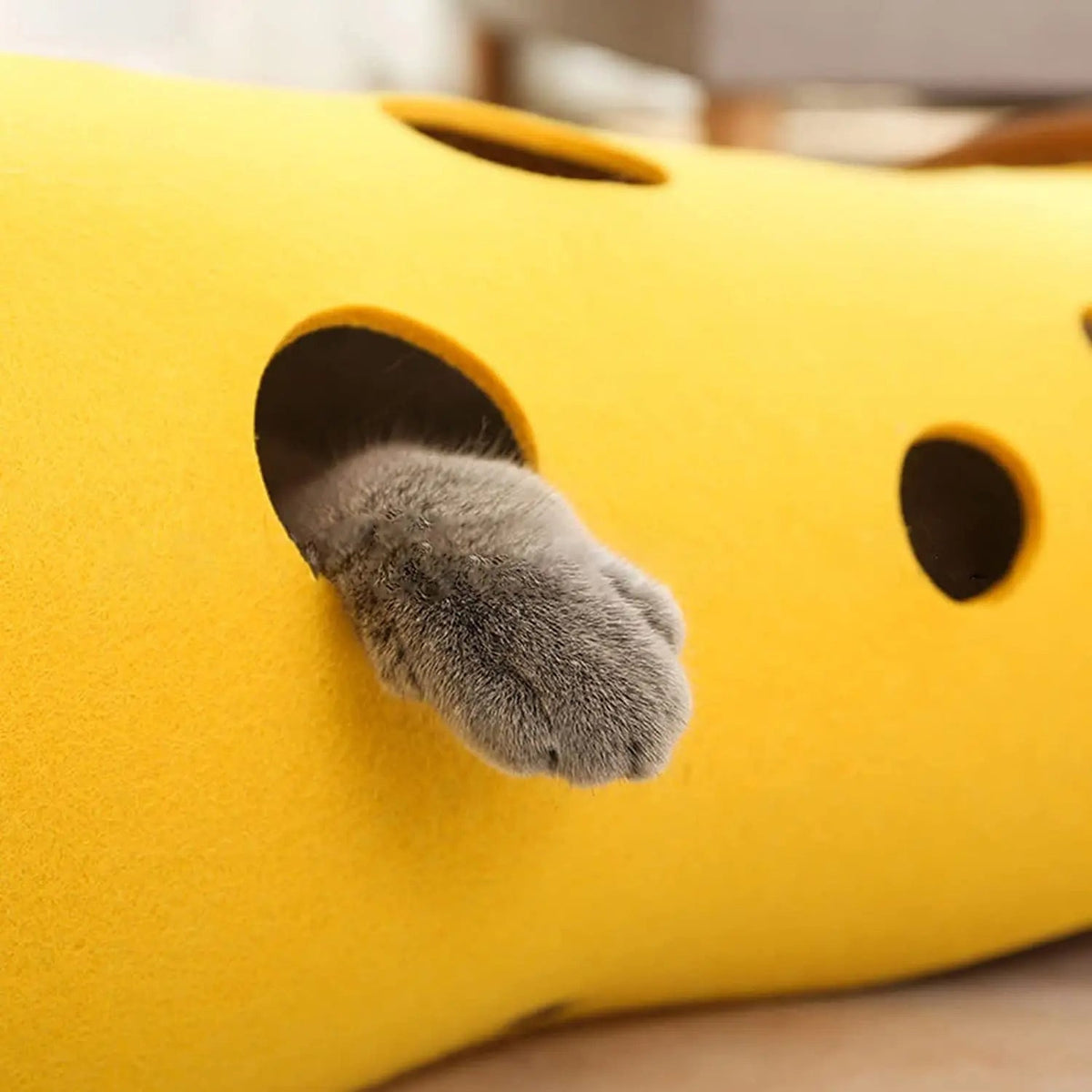 Foldable Cat Tunnel Bed for Indoor Play and Cozy Rest