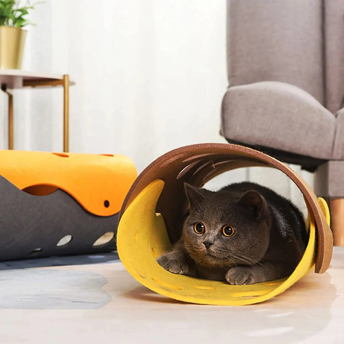 Foldable Cat Tunnel Bed for Indoor Play and Cozy Rest