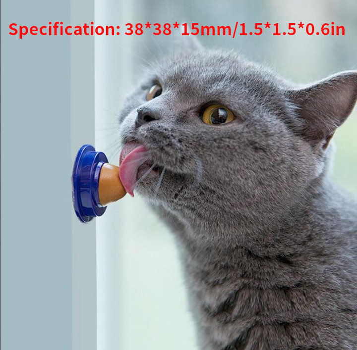 Catnip Wall Ball Toy for Hands-Free Cat Enrichment