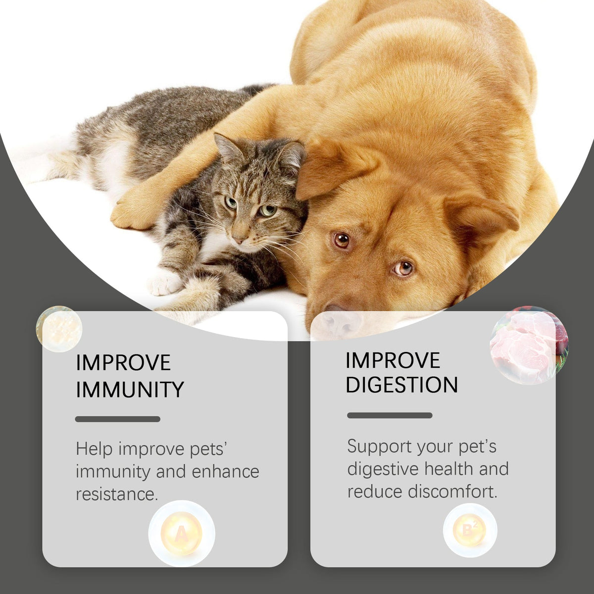 Pet Probiotic Chewable Tablets for Daily Digestion